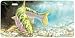Spring Creek Nymphs - Trout Art Print - License Plate Tag By Don Ray From Airstrike