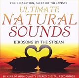 Birdsong By the Stream : Ultimate Natural Sounds