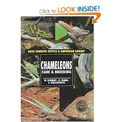 Chameleons: Care & Breeding