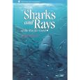 Sharks and Rays of the Pacific Coast (Monterey Bay Aquarium Natural History Series) by Ava Ferguson, Gregor Cailliet, and Monterey Bay Aquarium