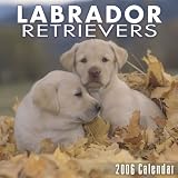 Labrador Retrievers 2006 Wall Calendar