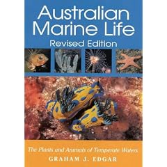 Australian Marine Life: Plants and Animals of the Temperate Waters