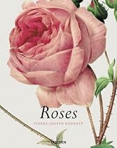 Roses (Jumbo)
