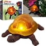 Solar Light Turtle - Trademark Home CollectionT