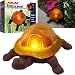 Solar Light Turtle - Trademark Home CollectionT