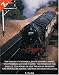7 Books in 1: The Railway Children, Five Children and It, The Phoenix and the Carpet, The Story of the Amulet, The Story of the Treasure-Seekers, The Would-Be-Goods, and The Enchanted Castle