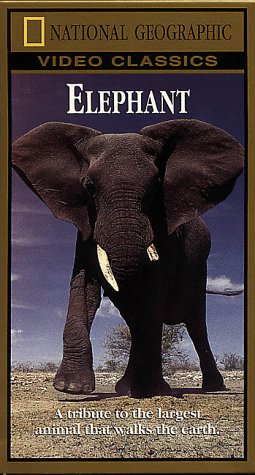 National Geographic's Elephant