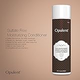 Hair Conditioner for Damaged and Dry Hair - Infused with Argan Oil, Jojoba Oil, Keratin - Color Treated Safe - Conditioning Repair Treatment for Curly, Straight Hair - 10.1 Oz