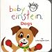 Big-Wag (a golden retriever) Recommends