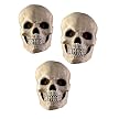 Skull Set Halloween Décor