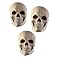 Skull Set Halloween Décor