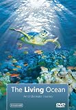 The Living Ocean: An Underwater Journey