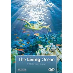 The Living Ocean: An Underwater Journey