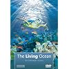 The Living Ocean: An Underwater Journey