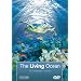 The Living Ocean: An Underwater Journey