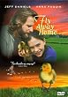 Fly Away Home