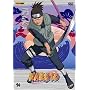 Naruto - Vol. 10, Episoden 41-44