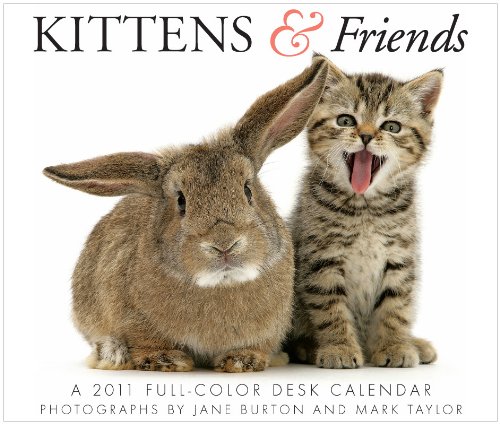 2011 Kittens & Friends Box Calendar