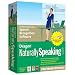 Nuance Dragon NaturallySpeaking 9 (Wireless Edition) (PC)