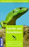 Steinbachs Naturf&uuml;hrer Lurche und Kriechtiere - 137 europ&auml;ische Arten - G&uuml;nter Diesener, Josef H. Reichholf, Ruth Diesener