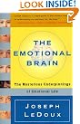 The Emotional Brain...