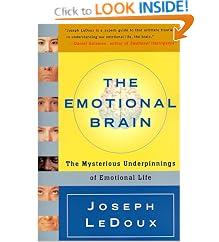 The Emotional Brain: The Mysterious Underpinnings of Emotional Life