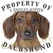 dachshund15 - Dachshund TAN Mousepad Dog Mouse Pad Property Of