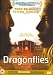 DVD : Dragonflies [UK IMPORT]