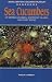Sea Cucumbers of British Columbia, Southeast Alaska and Puget Sound (Royal British Columbia Museum Handbook)