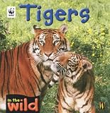 Tigers (In the Wild)