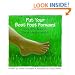 Put Your Best Foot Forward : More Little Lessons for a Happier World