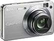 Sony Cybershot DSCW170 10.1MP Digital Camera with 5x Optical Zoom with Super Steady Shot (Silver)
