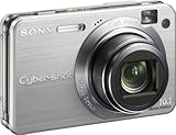 Sony Cybershot DSCW170 10.1MP Digital Camera with 5x Optical Zoom with Supe ....