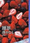 贖罪 (ミステリ・フロンティア)