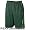 Nike Oregon Ducks Green Million Dollar Mesh Performance Shorts