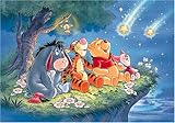 500ピース 願いをかなえて! <光るジグソー> D-500-323