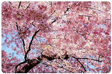 Cherry Blossom Doormat Entrance Mat Floor Mat Rug Indoor/Outdoor/Front Door/Bathroom Mats Rubber Non Slip Size 23.6 x 15.7 inches