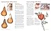 The Complete Stenciling Handbook