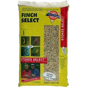 Stokes Select STK5571-07 Finch Select