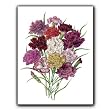 Bouquet of Carnations - Gift Enclosure Cards (set of 12)