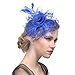 FeiYu Crafts Penny Mesh Hat Fascinator with Mesh Ribbons andA-Royal Feathers (A-Royal)