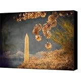 The Washington Memorial Canvas Print / Canvas Art - Artist Lois Bryan