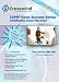 Book CAPM Exam Success Series: Placemat Vol. 2 (ITTO Process Tables)