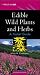Edible Wild Plants and Herbs: A Pocket Guide (Ragged Mountain Press Pocket Guide)