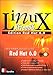 Book Linux XFree 86, Red Hat 6.0