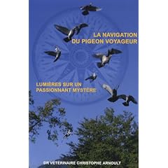 La navigation du pigeon voyageur : Lumi�res sur un passionnant myst�re
