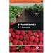 Strawberries (Crop Production Science in Horticulture)