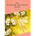 Six Flower and Fairy Postcards (Small-Format Card Books)