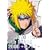 NARUTO-�i���g- 4th STAGE 2006 ���m�\�� [DVD]
