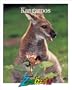 Kangaroos (Zoobooks Series)